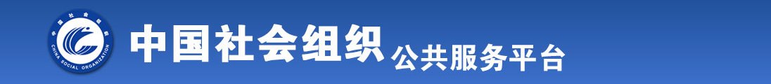 艹蛋扣逼游戏全国社会组织信息查询